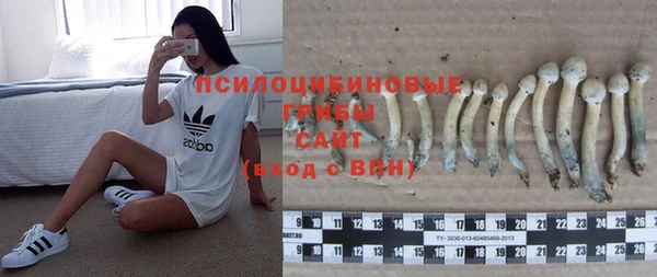 мет Нягань