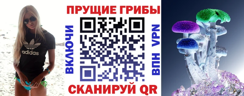 mega ТОР  Белгород  Псилоцибиновые грибы Magic Shrooms 