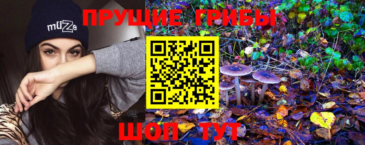 Псилоцибиновые грибы Magic Shrooms Белгород