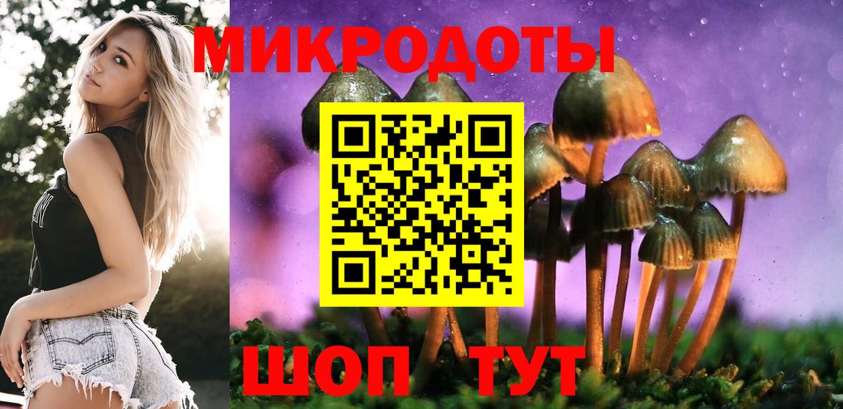 Псилоцибиновые грибы прущие грибы Белгород