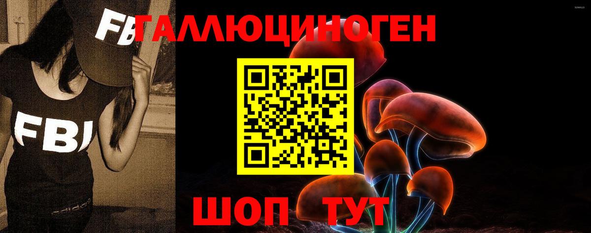 Белгород  Псилоцибиновые грибы Cubensis  Вход с VPN 